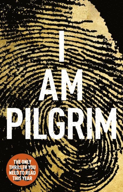 Terry Hayes - I Am Pilgrim, E-bok