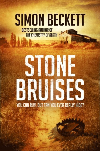 Simon Beckett - Stone Bruises, E-bok