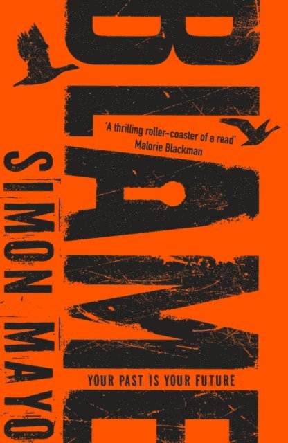 Simon Mayo - Blame, E-bok