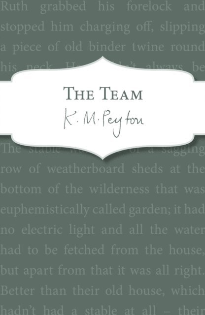 K M Peyton - Team, E-bok