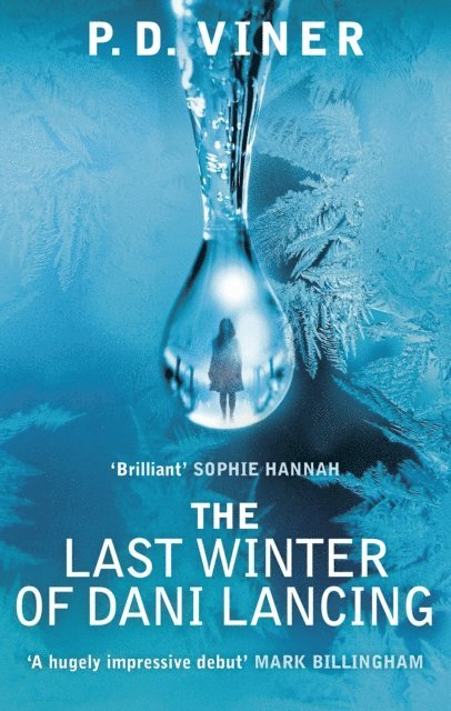 P.D. Viner - Last Winter of Dani Lancing, E-bok
