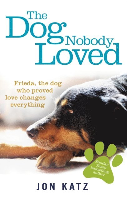 Jon Katz - Dog Nobody Loved, E-bok