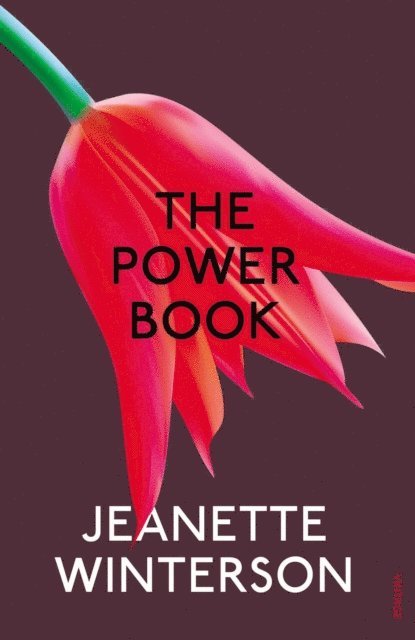Jeanette Winterson - Powerbook, E-bok