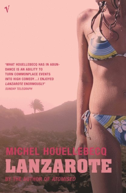 Michel Houellebecq - Lanzarote, E-bok