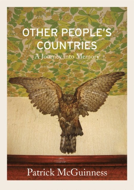Patrick McGuinness - Other People's Countries, E-bok
