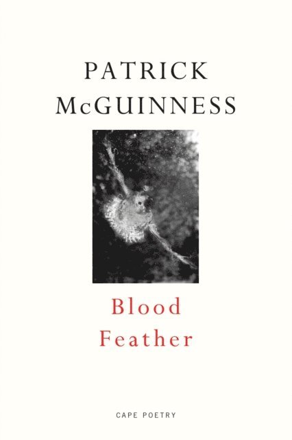 Patrick McGuinness - Blood Feather, E-bok