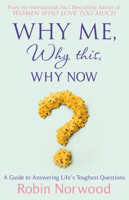 Robin Norwood - Why Me, Why This, Why Now?, E-bok