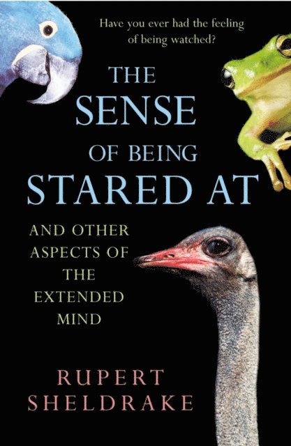 Rupert Sheldrake - Sense Of Being Stared At, E-bok