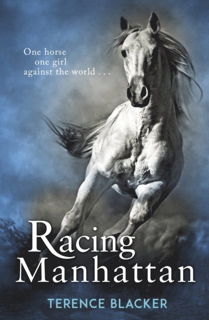 Terence Blacker - Racing Manhattan, E-bok