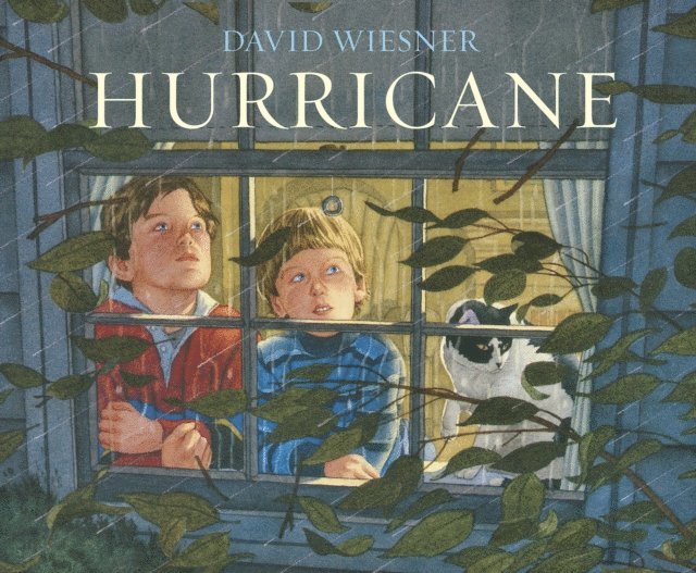 David Wiesner - Hurricane, E-bok