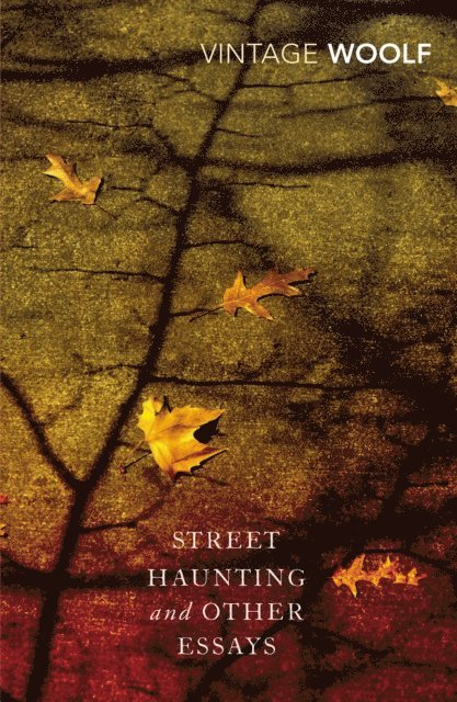 Virginia Woolf, Stuart N. Clarke - Street Haunting and Other Essays, E-bok