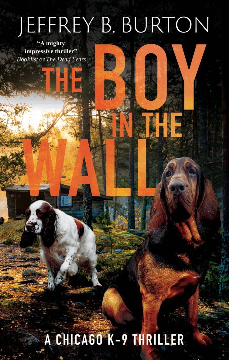 Jeffrey B. Burton - Boy in the Wall, Inbunden