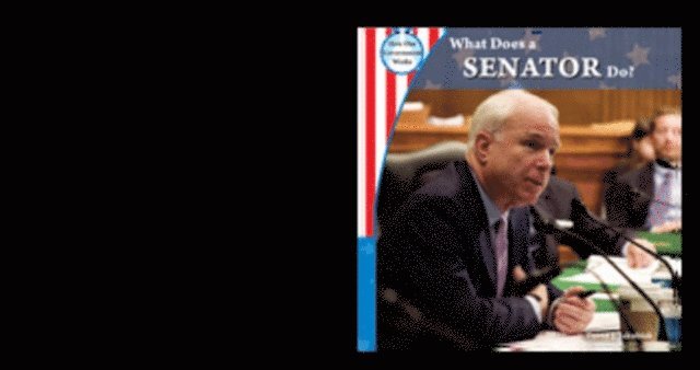 David J. Jakubiak - What Does a Senator Do?, E-bok