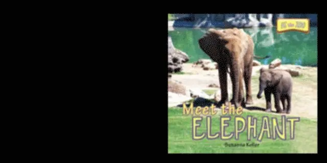 Susanna Keller - Meet the Elephant, E-bok. Tillgänglighet: Lägg i varukorg