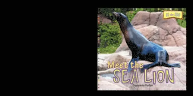 Susanna Keller - Meet the Sea Lion, E-bok. Tillgänglighet: Lägg i varukorg
