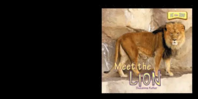 Susanna Keller - Meet the Lion, E-bok. Tillgänglighet: Lägg i varukorg