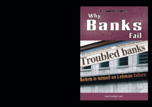 Amy Sterling Casil - Why Banks Fail, E-bok