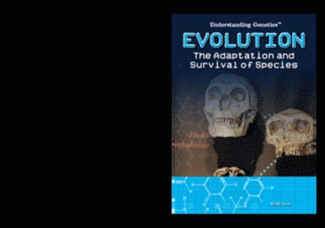 Kristi Lew - Evolution, E-bok