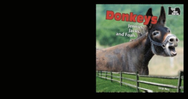 Lorijo Metz - Donkeys, E-bok