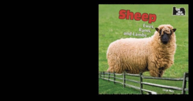 Lorijo Metz - Sheep, E-bok