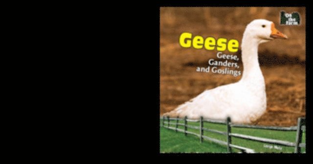 Lorijo Metz - Geese, E-bok