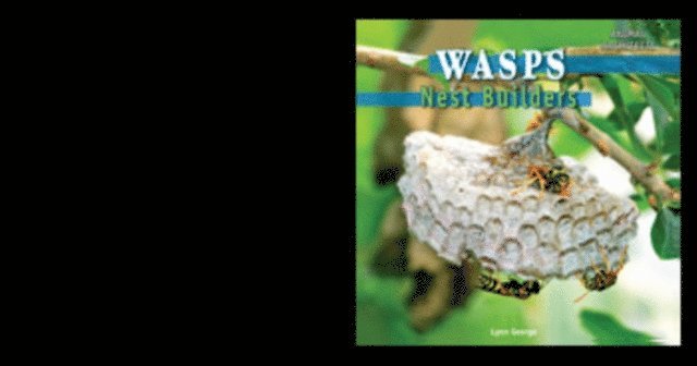 Lynn George - Wasps, E-bok