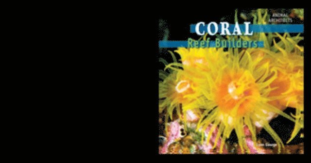 Lynn George - Coral, E-bok