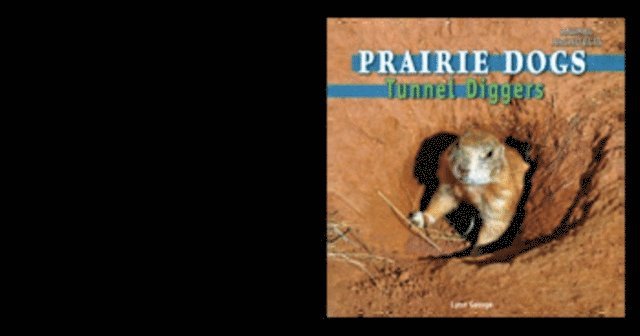 Lynn George - Prairie Dogs, E-bok