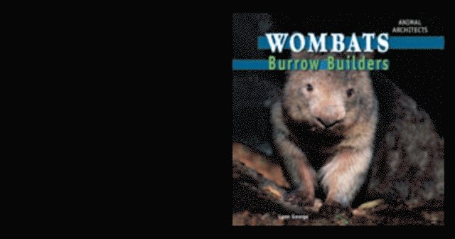 Lynn George - Wombats, E-bok