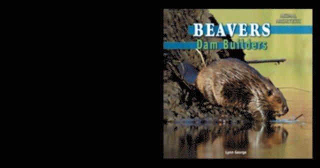 Lynn George - Beavers, E-bok