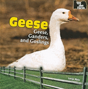 Lorijo Metz - Geese, Häftad
