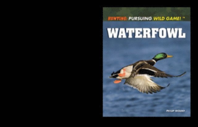 Philip Wolny - Waterfowl, E-bok