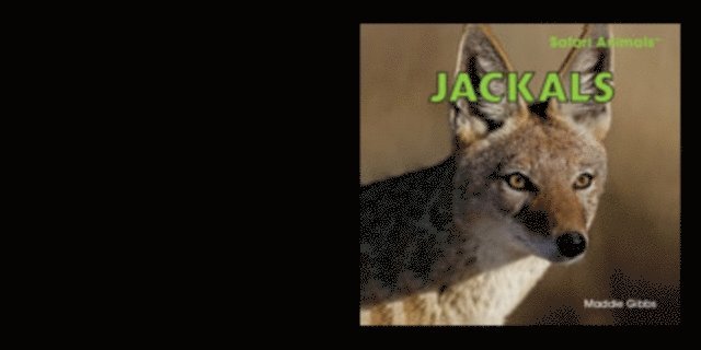 Maddie Gibbs - Jackals, E-bok