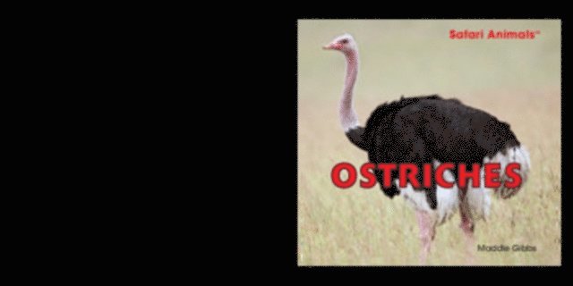 Maddie Gibbs - Ostriches, E-bok