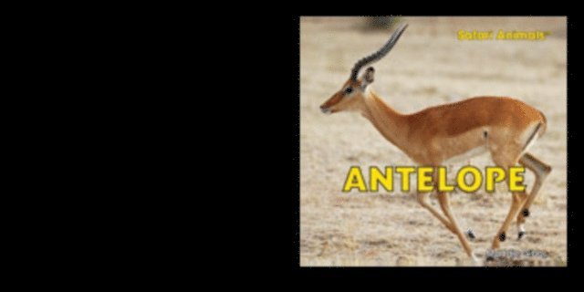 Maddie Gibbs - Antelope, E-bok