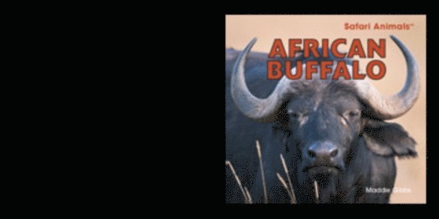 Maddie Gibbs - African Buffalo, E-bok