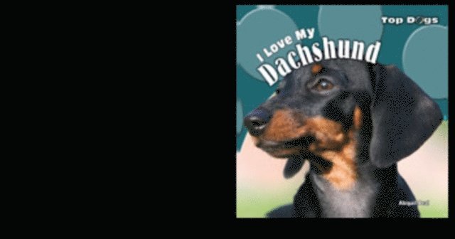 Abigail Beal - I Love My Dachshund, E-bok. Tillgänglighet: Lägg i varukorg