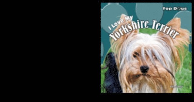 Abigail Beal - I Love My Yorkshire Terrier, E-bok. Tillgänglighet: Lägg i varukorg