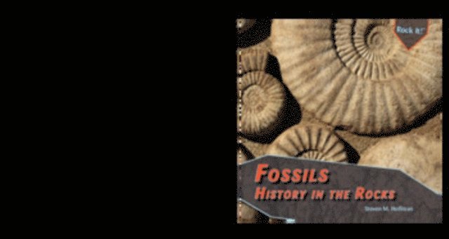 Stephanie Hoffman, Steven M. Hoffman - Fossils, E-bok