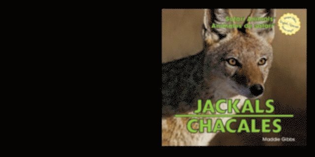 Maddie Gibbs - Jackals / Chacales, E-bok