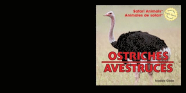 Maddie Gibbs - Ostriches / Avestruces, E-bok