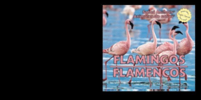 Maddie Gibbs - Flamingos / Flamencos, E-bok