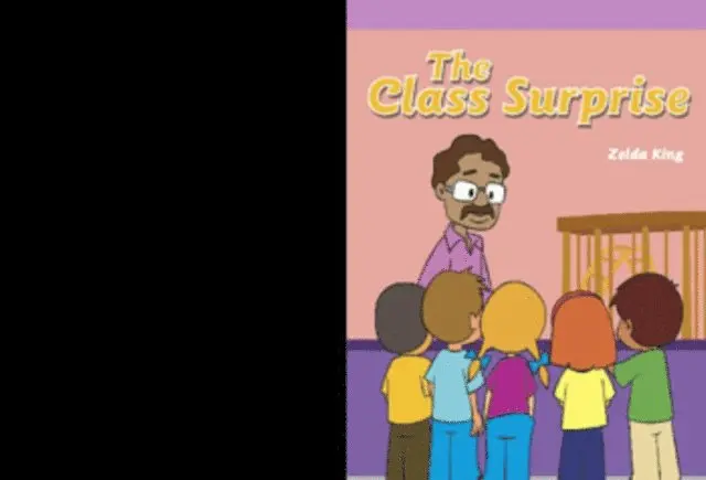 Zelda King - Class Surprise, E-bok. Tillgänglighet: Lägg i varukorg
