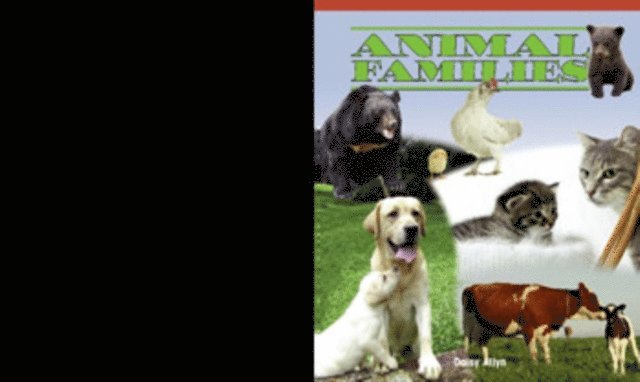 Daisy Allyn - Animal Families, E-bok