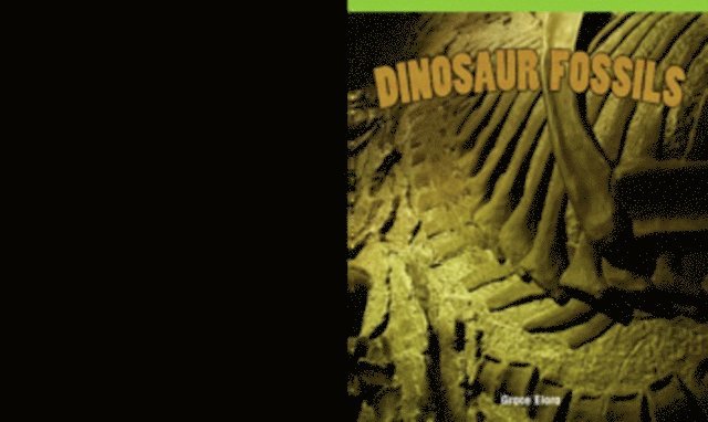 Ian Francis - Dinosaur Fossils, E-bok
