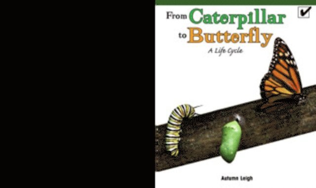 Autumn Leigh - From Caterpillar to Butterfly: A Life Cycle, E-bok. Tillgänglighet: Lägg i varukorg