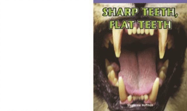 Stephanie Hoffman - Sharp Teeth, Flat Teeth, E-bok