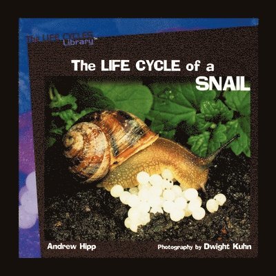 Andrew Hipp - The Life Cycles of a Snail, Häftad