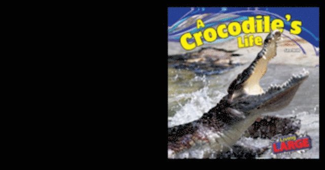 Sara Antill - Crocodile's Life, E-bok
