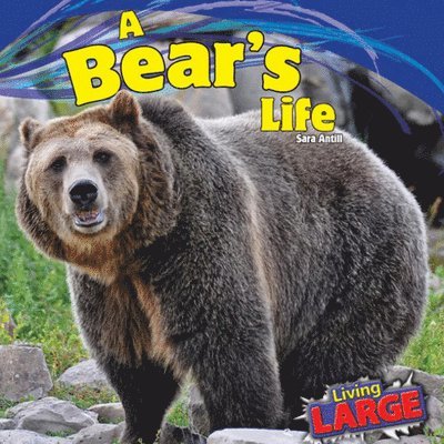 Sara Antill - Bear's Life, E-bok